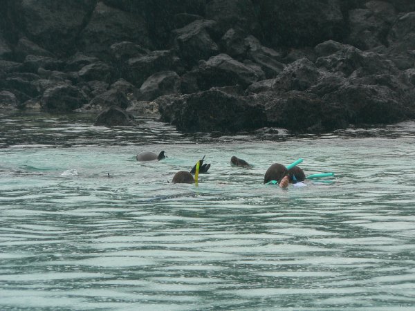 112- Baignade avec les otaries a Isla Lobos 